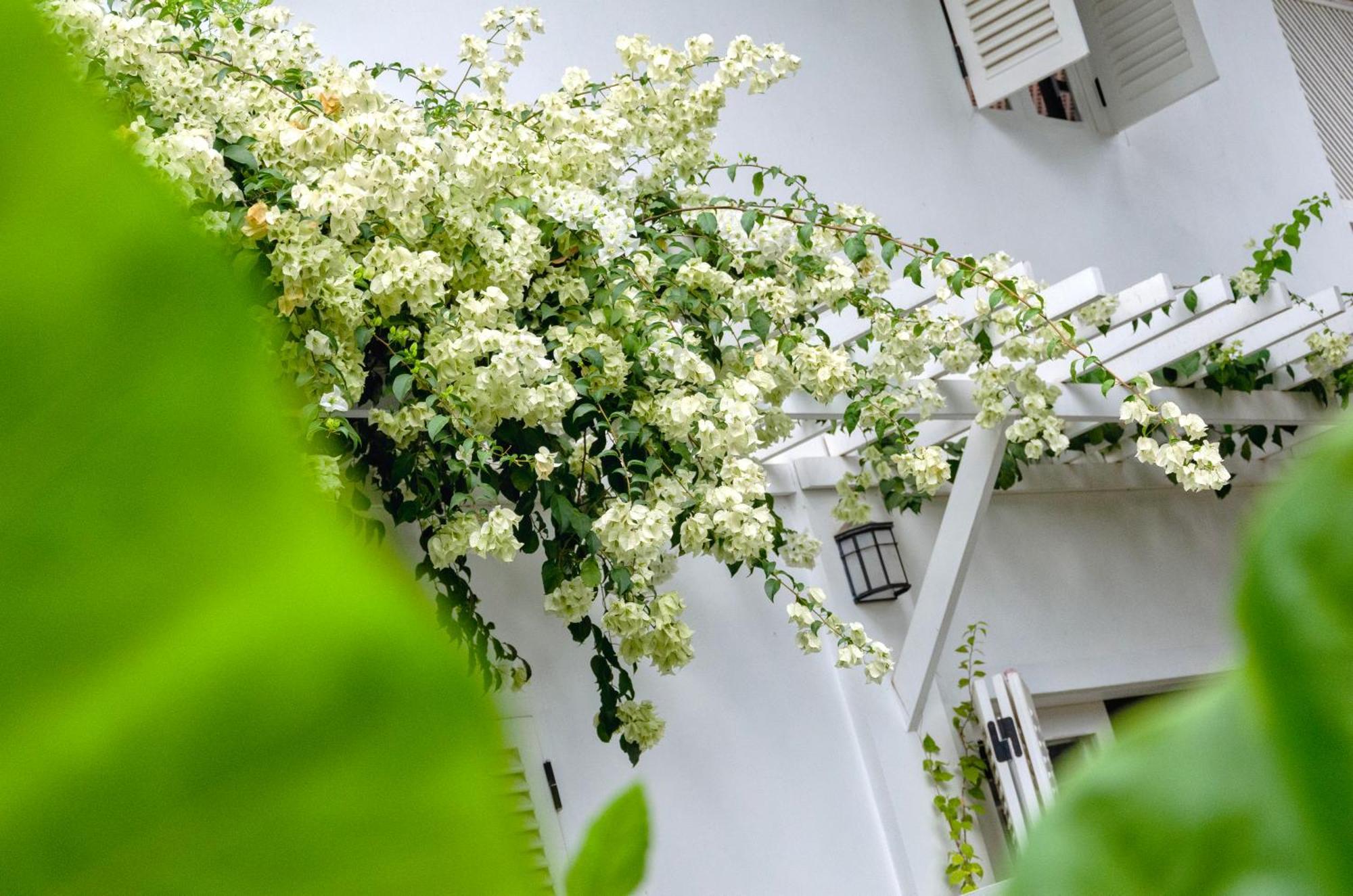Chic Stay Hana Boutique Hotel Luang Prabang Dış mekan fotoğraf